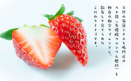 うずしおベリー カタラーナ 2箱セット いちごスイーツ 苺 フルーツガーデンやまがた　スイーツ　お菓子　ギフト　敬老の日　お歳暮　冷凍　洋菓子　いちご　