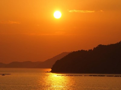 香川県 多度津町産 白方かき むき身（加熱用）200g×3袋【令和8年1月頃から4月頃までの期間限定出荷】【L-30】