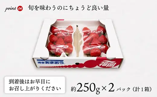 【2027年3月下旬より順次発送】博多あまおう2パック 約500g[H2211]