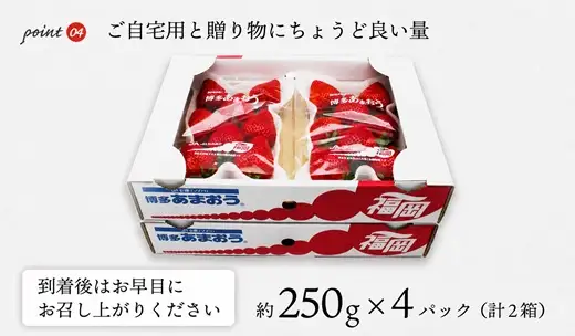 【2027年3月下旬より順次発送】博多あまおう4パック 約1kg[H2213]