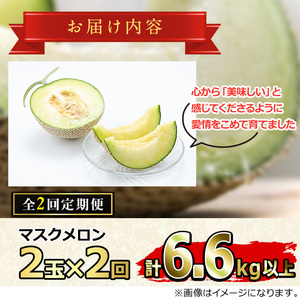 【0472212b】＜定期便・全2回(2月・4月)＞まるまる育ったマスクメロン(2玉×2回・計6.6kg以上) マスクメロン フルーツ 果物 果実 6キロ 数量限定 期間限定【まる美園芸組合】
