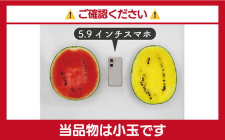【2026年6～7月出荷】【JAむなかた直送】小玉スイカ（赤・黄）2玉（計4～5kg）[H2272]