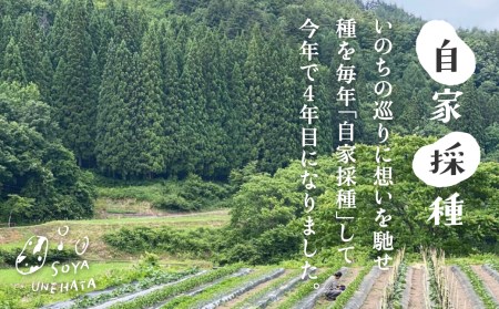  “まめ“なパウンドケーキ 1本 こだわり かわいい おしゃれ ケーキ