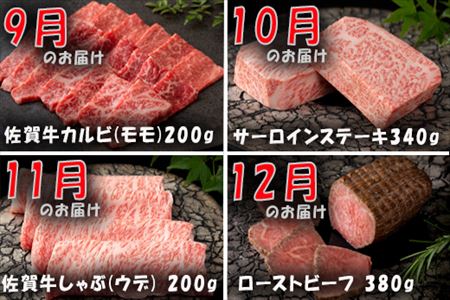 【定期便全12回】佐賀牛定期便「サーロイン(2回)・ローストビーフ(3回)・肩ロース・ハンバーグ(2回)・ロースブロック・カルビ(ロース)・カルビ(モモ)・しゃぶしゃぶ(ウデ)」 毎月発送いたします!
