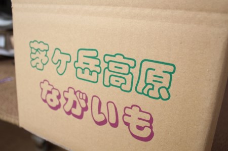 茅ヶ岳高原　粘りと味が抜群の長芋　５㎏箱 長いも 約3～5本 ながいも 山芋 野菜 とろろ 磯辺揚げ 粘り 期間限定 明野町 茅ヶ岳高原 山梨県 北杜市 [h155]