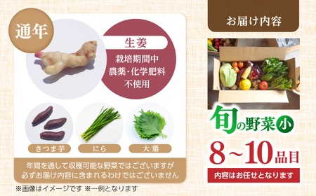 【最速発送】【栽培期間中農薬・化学肥料不使用】土佐の太陽をいっぱいに浴びた旬の野菜セット「小」【土佐野菜】 [ATBA001]　スピード 最短 最速 発送 春 春野菜 旬野菜 野菜詰め合わせ
