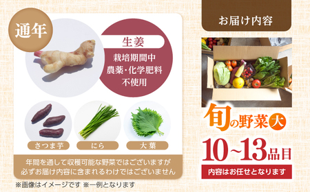 【最速発送】土佐の太陽をいっぱいに浴びた旬の野菜セット「大」【土佐野菜】 [ATBA002]　スピード 最短 最速 発送 春 春野菜 旬野菜 野菜詰め合わせ