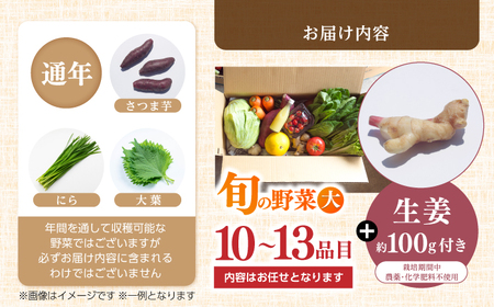 【最速発送】土佐の太陽をいっぱいに浴びた旬の野菜生姜約100gのセット「大」【土佐野菜】 [ATBA004]　スピード 最短 最速 発送 春 春野菜 旬野菜 野菜詰め合わせ