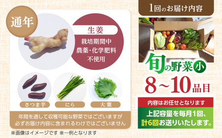 定期便 土佐の太陽をいっぱいに浴びた旬の野菜セット小 (6回配送) / 野菜 やさい 定期便 6回 セット 詰め合わせ 朝採れ 新鮮 旬 無農薬 レシピ 冷蔵 高知 土佐 【土佐野菜】 [ATBA006]