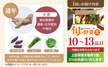 【6回定期便】土佐の太陽をいっぱいに浴びた旬の野菜セット「大」 (6回配送)【土佐野菜】 [ATBA009]