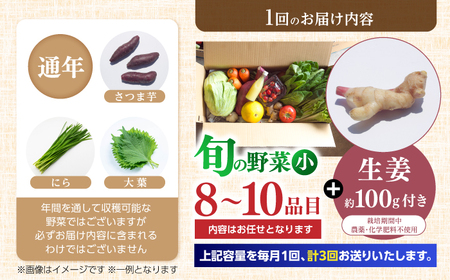 【3回定期便】 土佐の太陽をいっぱいに浴びた旬の野菜生姜約100gのセット「小」 【土佐野菜】 [ATBA011]