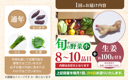 【6回定期便】 土佐の太陽をいっぱいに浴びた旬の野菜生姜約100gのセット「小」 【土佐野菜】 [ATBA012]
