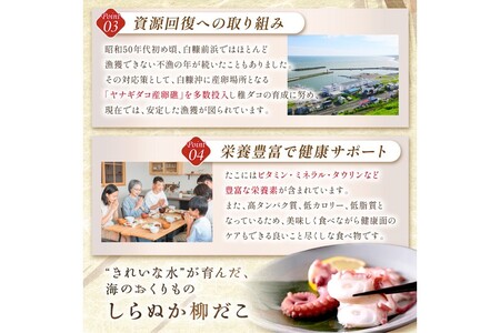 しらぬか産刺身用柳だこ【600g×2個】_I016-0136