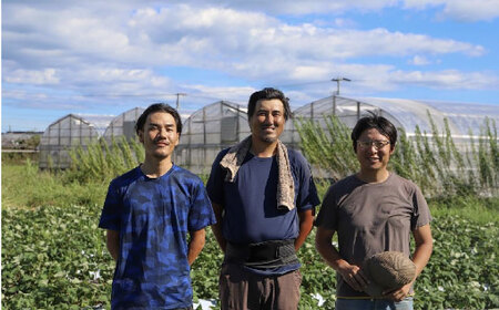 定期便 土佐の太陽をいっぱいに浴びた旬の野菜生姜約100gのセット「小」 (12回配送)【土佐野菜】 [ATBA013]