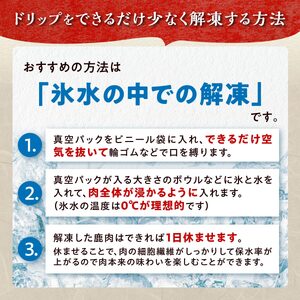 高タンパク・低カロリー・低脂肪 えぞシカ肉セット (ブロック肉) 250g/400g_I010-0800