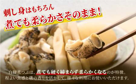 ＼高評価 4.8 ＆ 高リピート率／ 白糠煮つぶ とれたてくん 500g × 2 個_I012-0138-90DAYS
