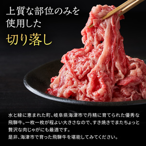 飛騨牛 岐阜県海津市産 すき焼き 切り落とし 500g 牛肉 すきやき お肉 冷凍 