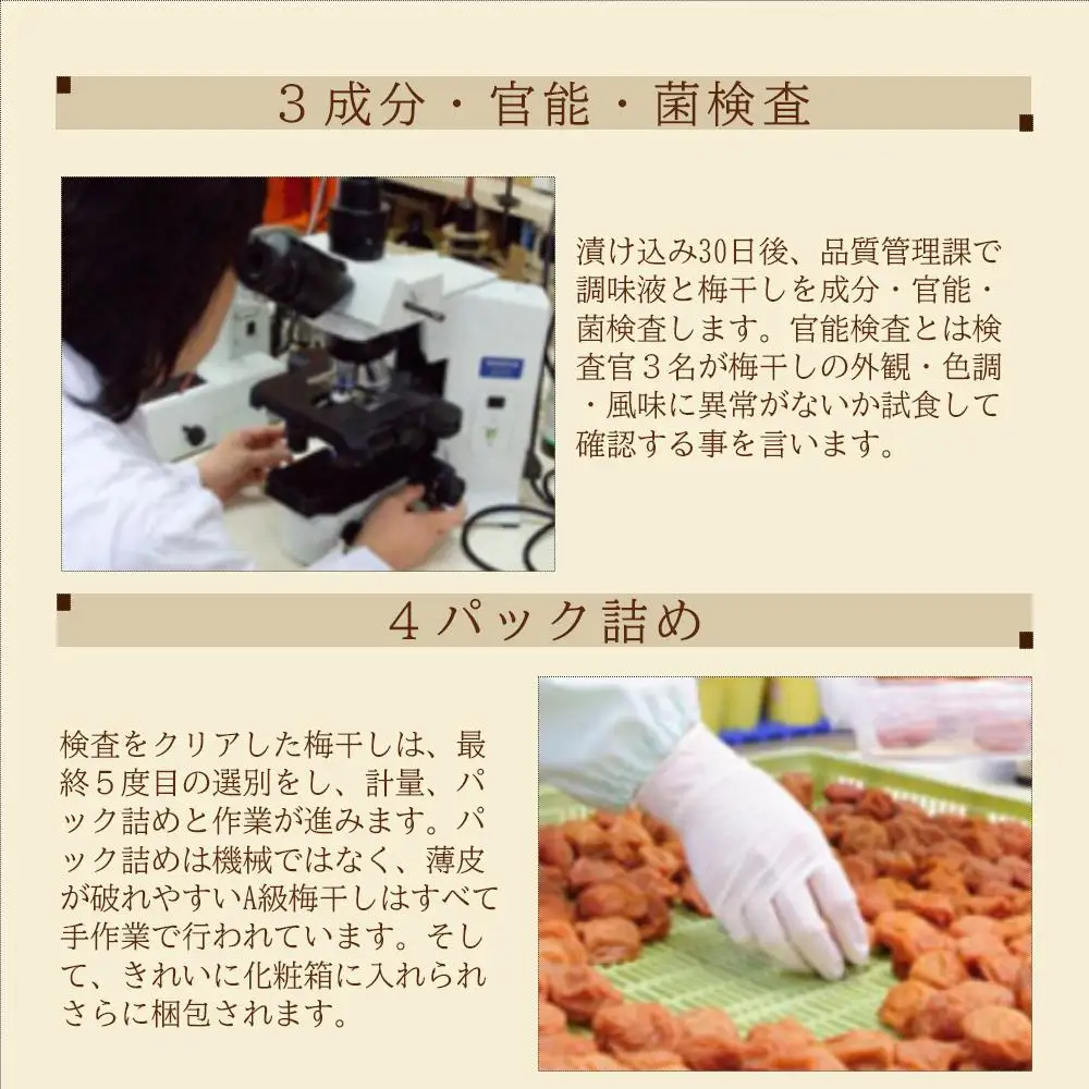 紀州五代の夢想　16粒　1箱（みなべ町）
