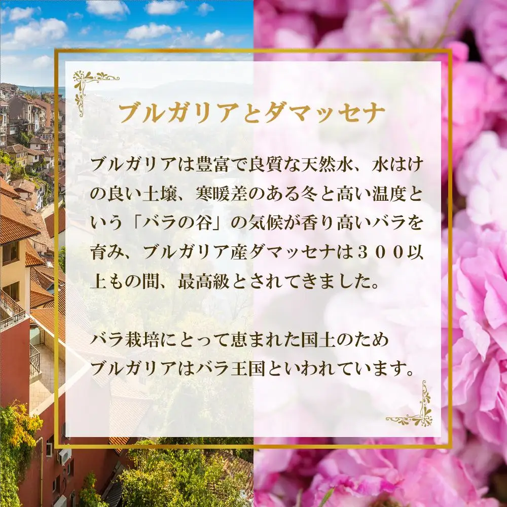 薔薇梅酒　720ml 1本（みなべ町）