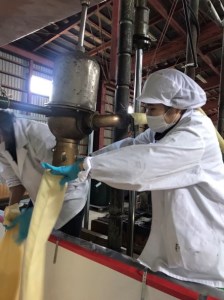 [つがる市初仕込み] 岩木正宗 つがるJOMON 純米大吟醸 1800ml (竹浪酒造店) [0526]