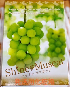 シャインマスカット 1房 (約550g以上)糖度18度以上 [0964]