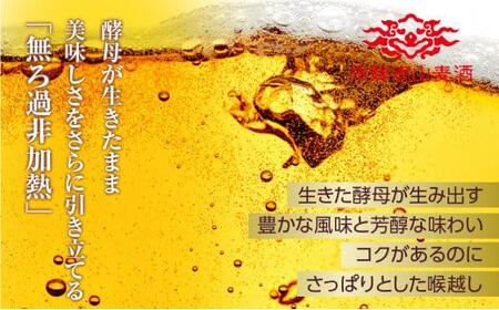 飛騨高山麦酒 ダークエール 12本セット 500ml×12 地ビール ビール 麦酒 クラフトビール 飛騨高山 瓶ビール ビンビール  FS001