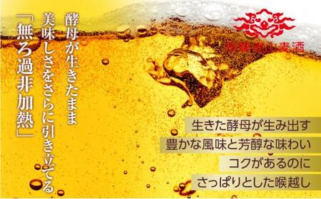 飛騨高山麦酒 ピルセナー 6缶セット 350ml×6本 地ビール ビール 麦酒 クラフトビール 飛騨高山 缶ビール  FS004