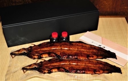三河一色産　うなぎ手焼き【蒲焼パック2尾(1尾150g～180g)】・U033-25