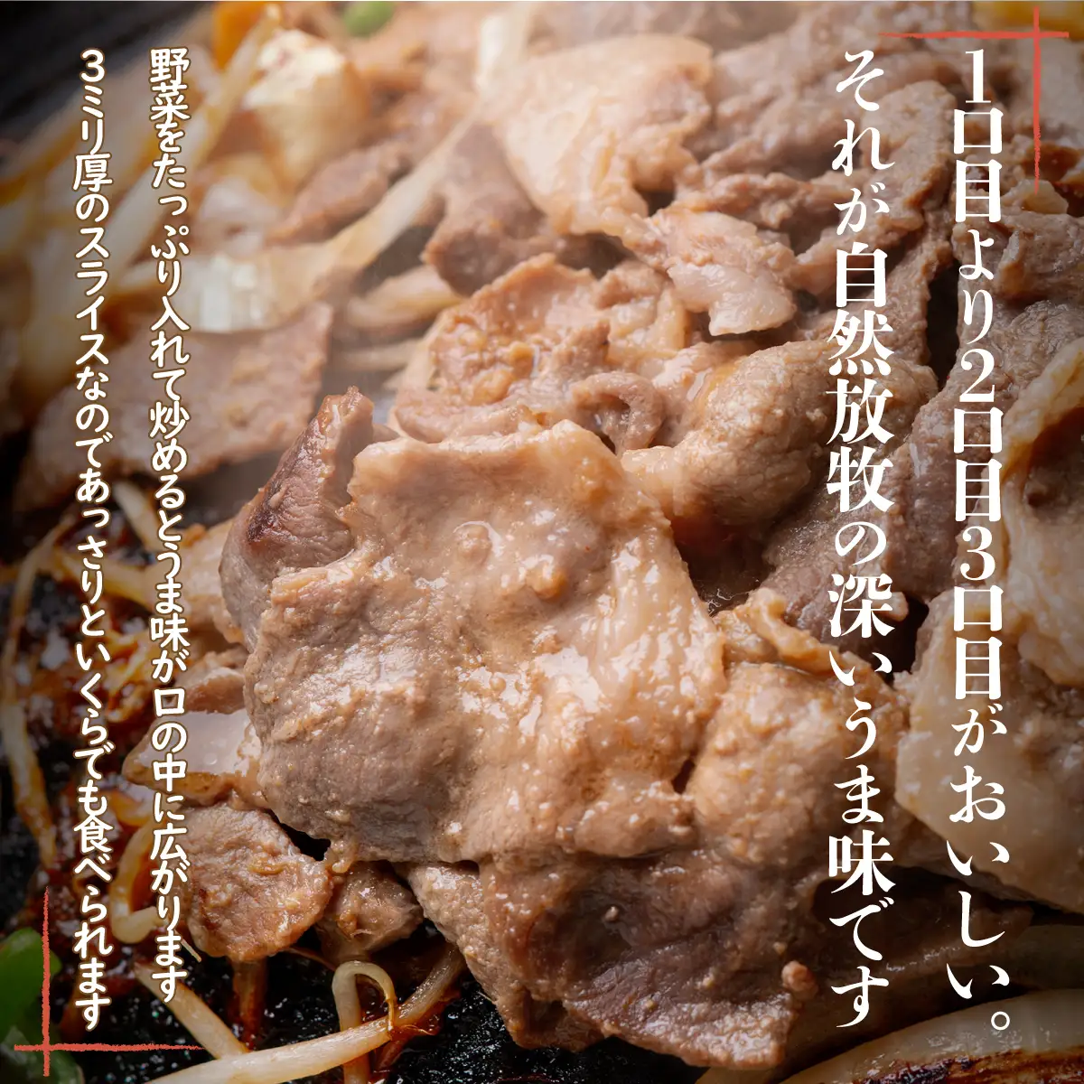鹿追産 自然放牧黒豚ジンギスカンセット SKN002 【 北海道　鹿追　送料無料 】