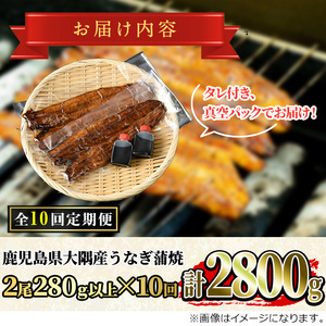＜定期便・全10回(連続)＞鹿児島県産 東串良町 うなぎ 蒲焼 (2尾・計280g以上・秘伝のタレ付き×10回) 高級 ウナギ 鰻 国産 たれ 【うなぎ太郎】【2603708b】