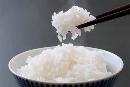 唐津産特別栽培米 コシヒカリ(白米) 4.5kg ご飯 コメ お米