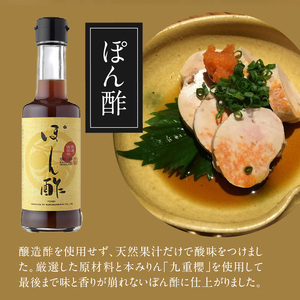 本みりんと調味料の詰め合わせセット H002-100
