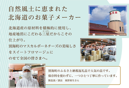 【毎月定期便】二層のチーズケーキスイート・フロマージュ 12cm×1台×3ヵ月定期便 チーズケーキ 北海道 別海町　 