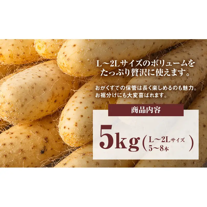 2026年12月発送 先行予約 十勝「忠類長いも」5kg (5～8本) L～2L［JA忠類］【 長芋 ながいも 山芋 芋 とろろ 野菜 根菜 産地直送 贈答 ギフト北海道 幕別 】