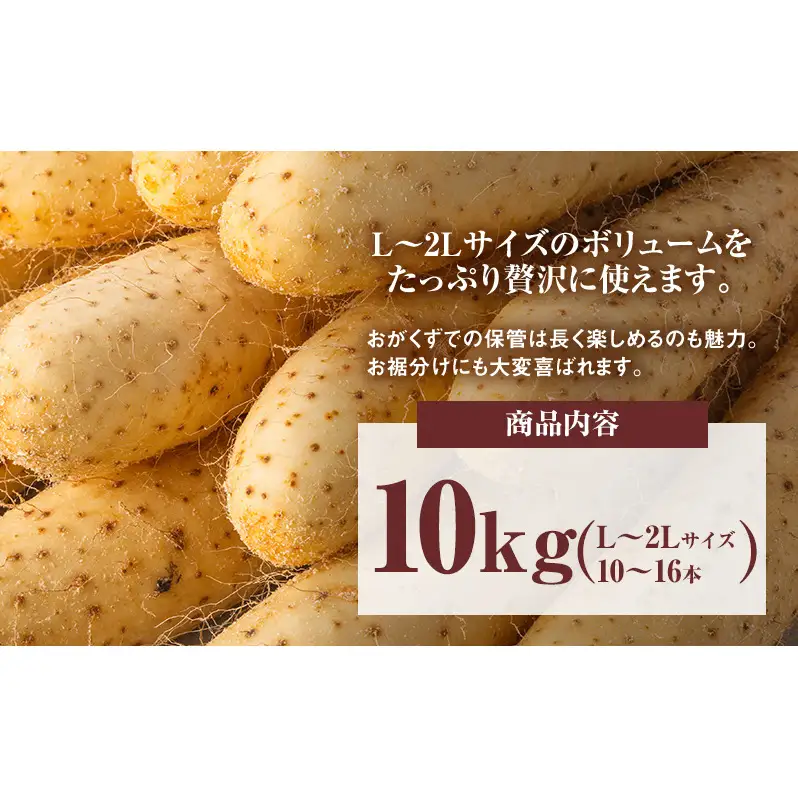 2026年12月発送 先行予約 十勝「忠類長いも」10kg (10～16本) L～2L［JA忠類］【 長芋 ながいも 山芋 芋 とろろ 野菜 根菜 産地直送 贈答 ギフト北海道 幕別 】