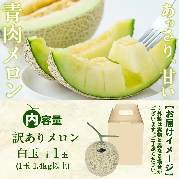 【訳あり・数量限定】牧さんの訳ありメロン 白玉(青肉)1玉 メロン マスクメロン 果物 くだもの デザート 青肉 訳あり a1-058