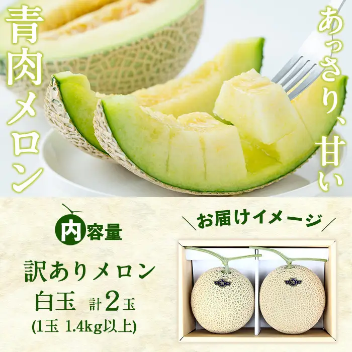 【訳あり・数量限定】牧さんの訳ありメロン 白玉(青肉)計2玉 メロン マスクメロン 果物 くだもの デザート 青肉 訳あり b0-106