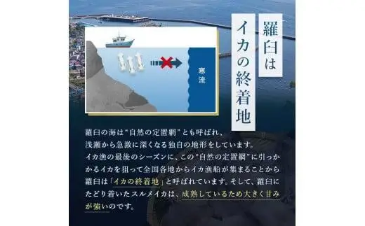 知床羅臼産 するめいかの一夜干し4枚セット（1枚250g前後) イカ 酒の肴 おつまみ 国産 北海道