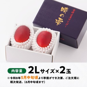 【令和8年発送】宮崎県産完熟マンゴー「時の雫」2L×2玉 フルーツ マンゴー