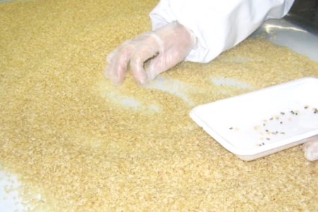簡単に炊ける 宮城県産 ひとめぼれ 発芽玄米 5kg 玄米 米 菅原商店 宮城県 加美町 sg-hb05-hg