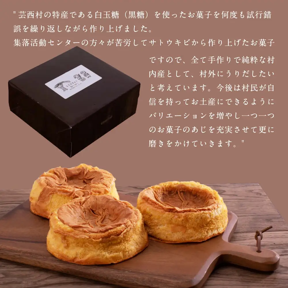 【数量限定】半熟生カステラ 