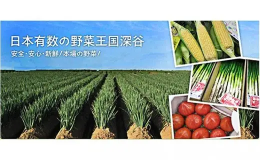 旬のラッキー7野菜セット（野菜7種詰合せ）【11218-0114】