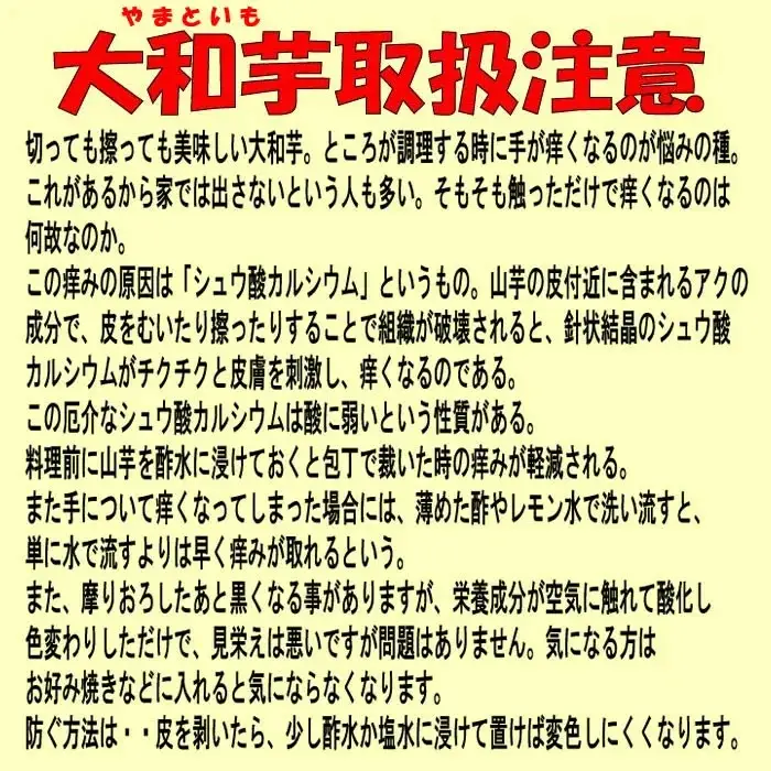 土付き大和芋AA品2kg（5～6本）　【11218-0137】