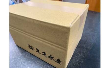 三河しらす 1.4kg（1kg箱入+400g化粧箱入） 魚介類 しらす シラス 国産 海の幸 ご飯のお供 おつまみ しらす丼 グルメ ギフト 贈り物 やみつき 冷凍 H018-048