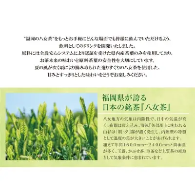 Z26-81 寄附額改定↓↓ 八女茶 煎茶ペットボトル(24本)定期便(隔月×3回)  お茶 大容量 ペットボトル