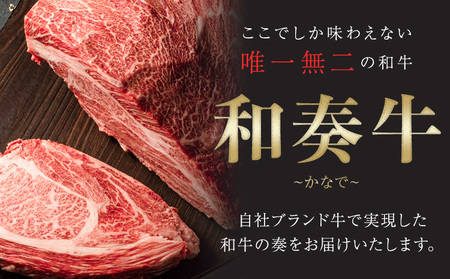 A5 A4 ランク 厳選 くまもと黒毛和牛 サーロインステーキ 1枚(約200g)《30日以内に出荷予定(土日祝除く)》 熊本県 大津町 和牛焼肉LIEBE サーロイン ステーキ 冷蔵 リーベ
