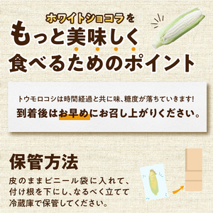 【先行予約】白いとうもろこし 奥州ペルル ( ホワイトショコラ ) 10本【数量限定】2026年7月中旬から出荷 離島配送不可 [T0012]