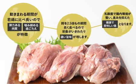 鶏肉 ひだ地鶏モモ肉1kg [Q2617] 鶏肉