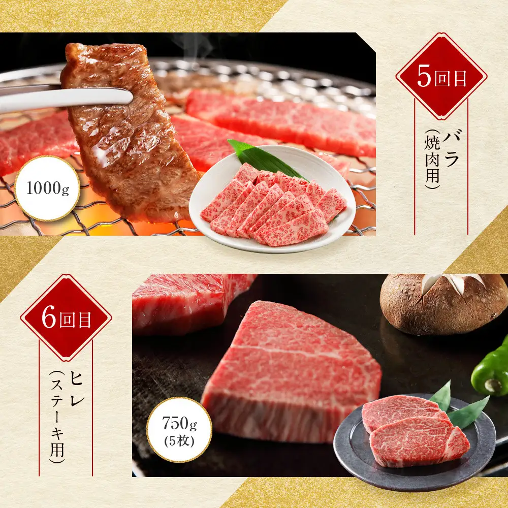 ＜定期便６回＞【京都モリタ屋】京都肉食べ比べ(1)｜老舗牛肉店 名店 自慢の肉質 人気セット 牛肉