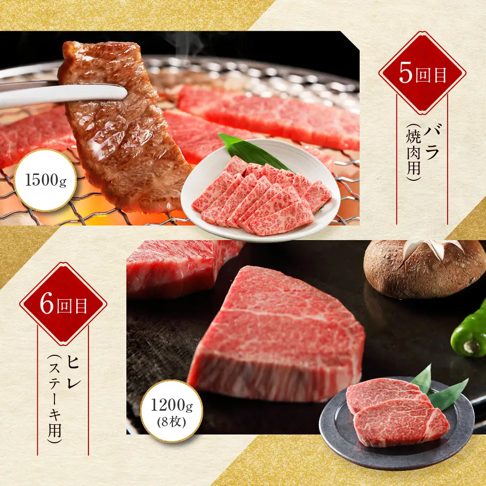 ＜定期便６回＞【京都モリタ屋】京都肉食べ比べ(2)｜老舗牛肉店 名店 自慢の肉質 人気セット 牛肉